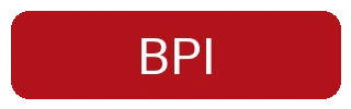 BPI Express Online