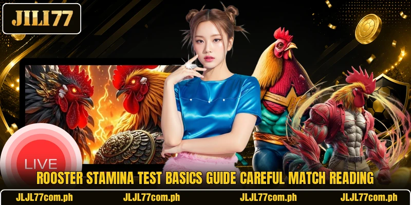 Rooster Stamina Test basics guide careful match reading Rooster Stamina Test basics guide careful match reading